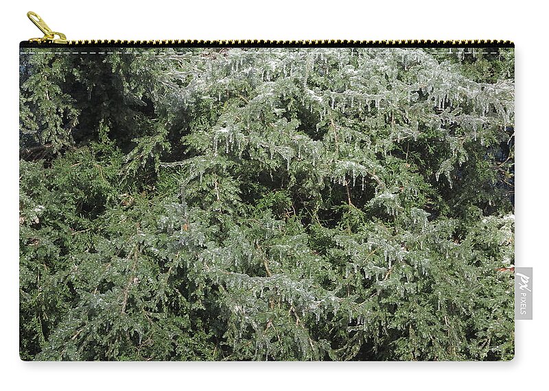 Ice Zip Pouch featuring the photograph Ice On Eastern Red Cedar by Daniel Reed