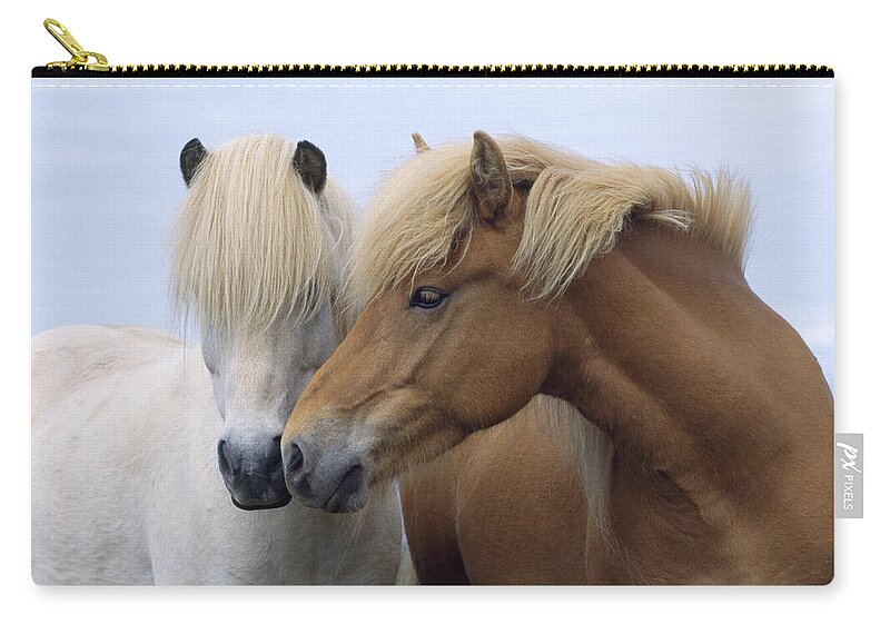 Icelandic Horse Zip Pouch featuring the photograph Icelandic Horses by John Daniels