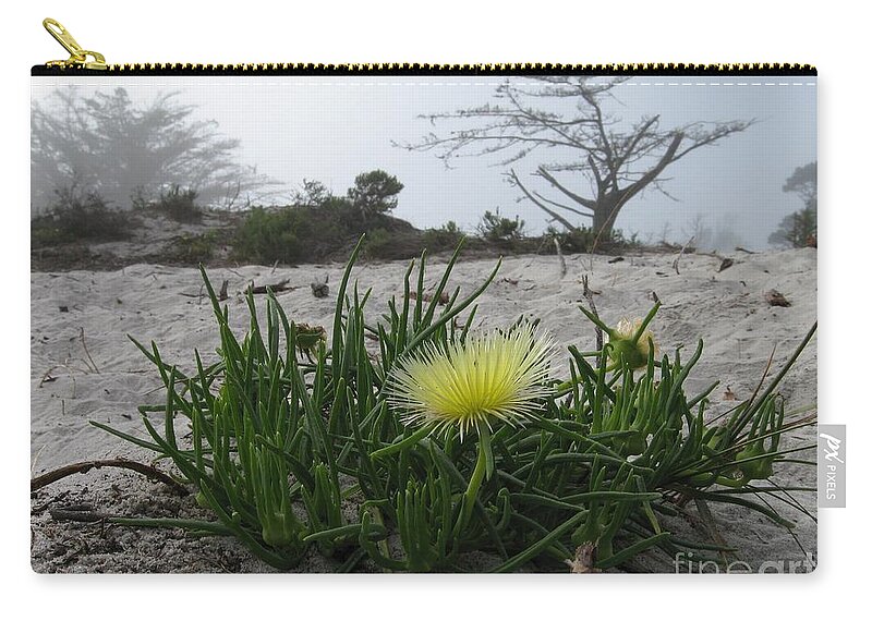 Beach Zip Pouch featuring the photograph Iceplant Bloom on Carmel Dunes by James B Toy