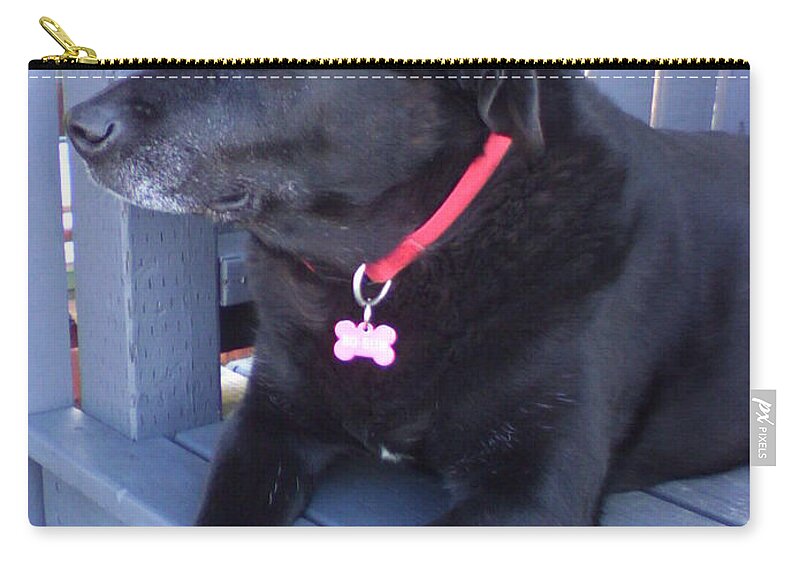 I'm Ignoring You Zip Pouch featuring the photograph I'm ignoring you by Barbara A Griffin