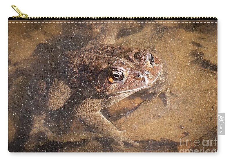 Frog Zip Pouch featuring the photograph I'm Watching You by Todd Blanchard