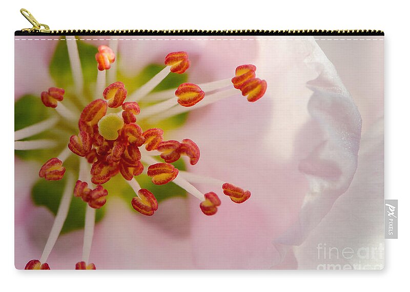 Blooms Zip Pouch featuring the photograph In A Pink Cloud by Michael Arend