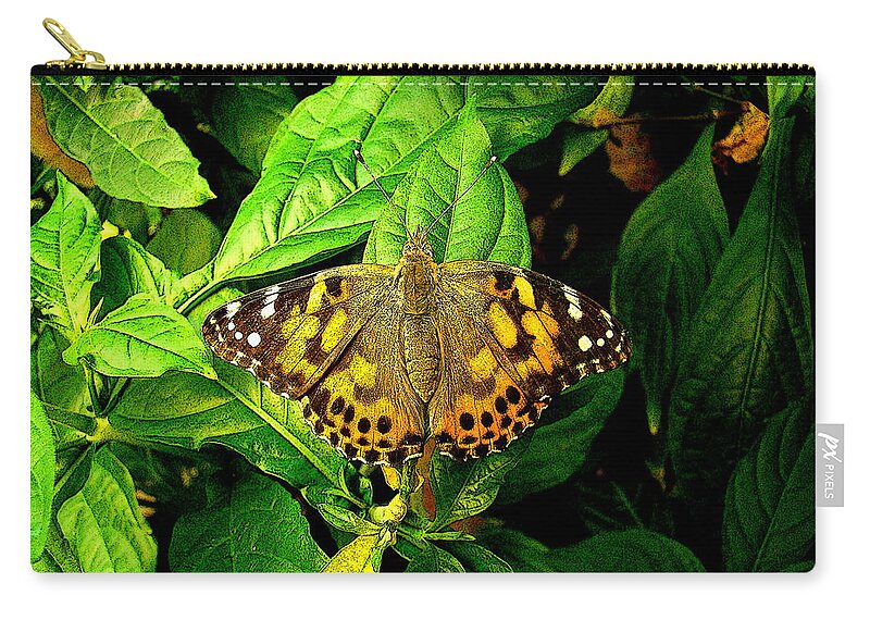 Fine Art Zip Pouch featuring the photograph In My Home by Rodney Lee Williams