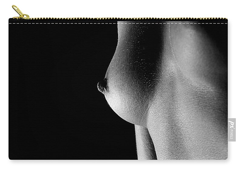 Black And White Zip Pouch featuring the photograph In Passing by Joe Kozlowski