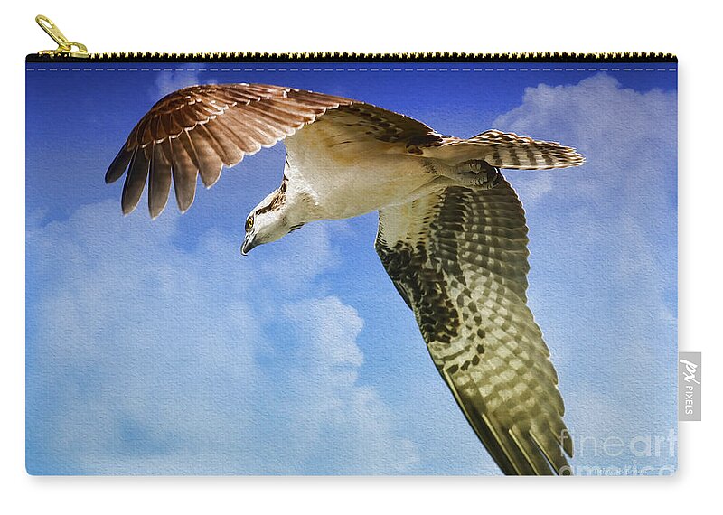 Osprey Zip Pouch featuring the photograph In Search Of by Deborah Benoit