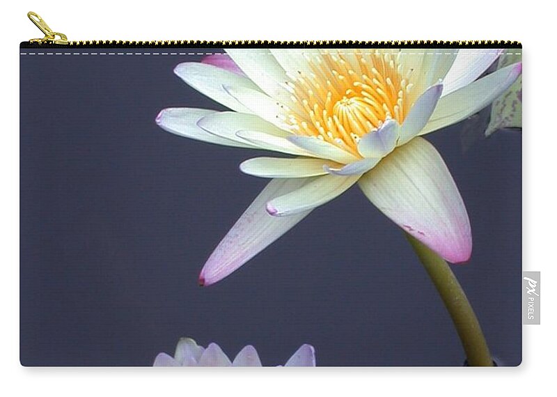 Water Lily Zip Pouch featuring the photograph In The Pond by Living Color Photography Lorraine Lynch