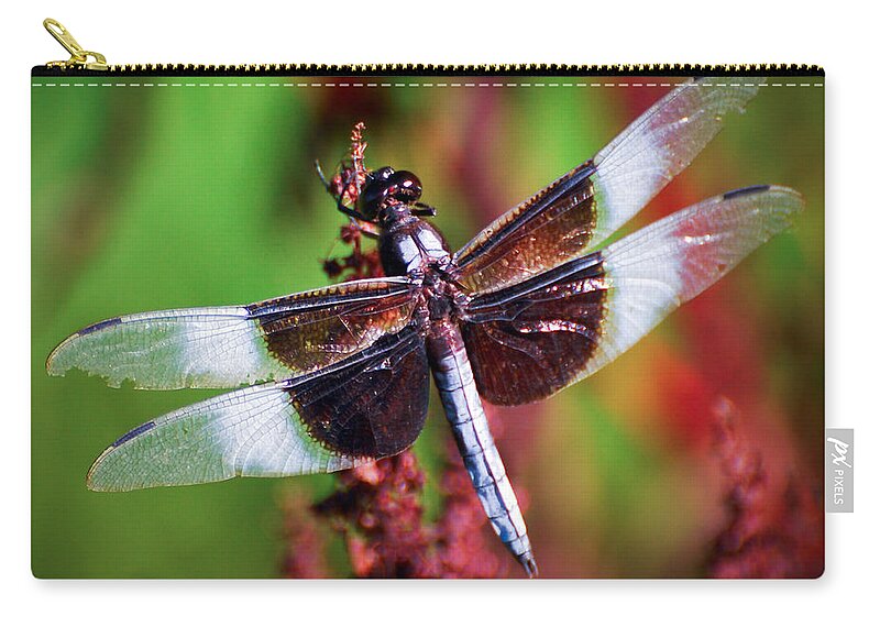 Dragonfly Zip Pouch featuring the photograph In The Red by Kerri Farley