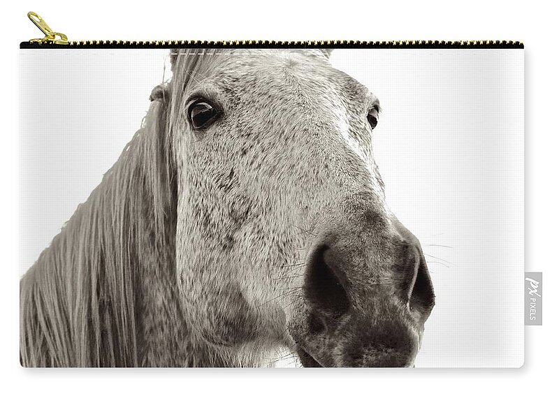 Horse Face Photograph Zip Pouch featuring the photograph In Your Face by Kristina Deane