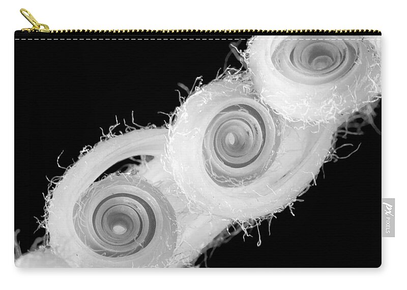 Plant Zip Pouch featuring the photograph Infrared Sago Palm by Patricia Schaefer