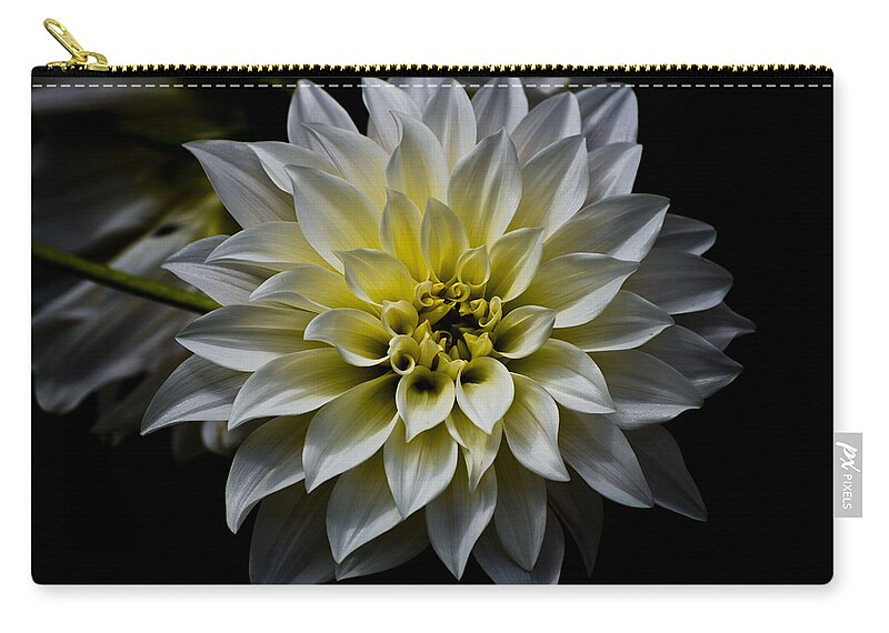 Botanical Carry-all Pouch featuring the photograph Inner Glow by Christi Kraft