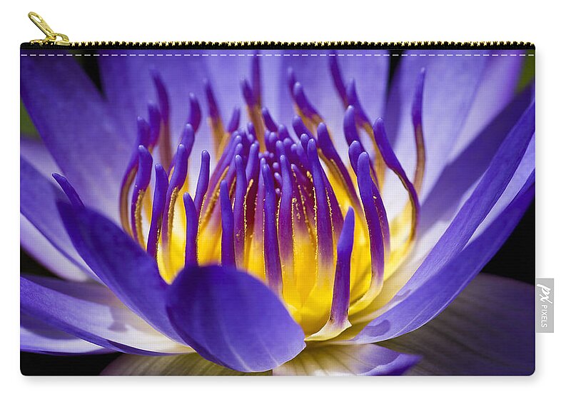 Waterlily Zip Pouch featuring the photograph Inner Glow by Priya Ghose