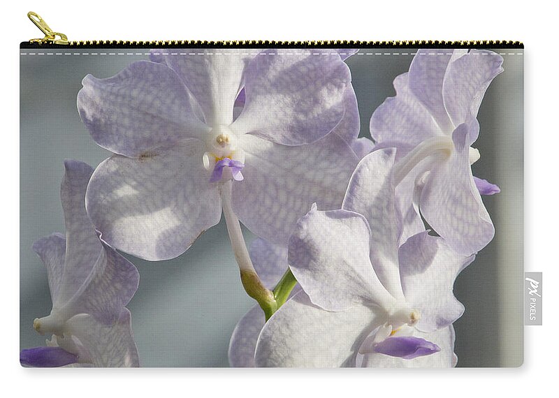 Almost White Orchids Zip Pouch featuring the photograph Innocent by Elena Perelman