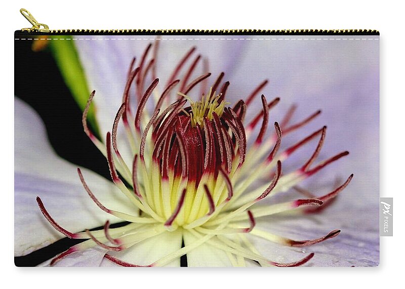 Flower Zip Pouch featuring the photograph Inside a Clematis by Karen Silvestri