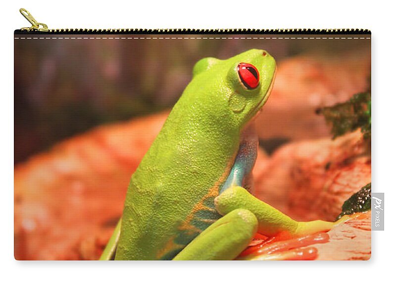 Hope Zip Pouch featuring the photograph Inspirations for Tomorrow by Cathy Beharriell