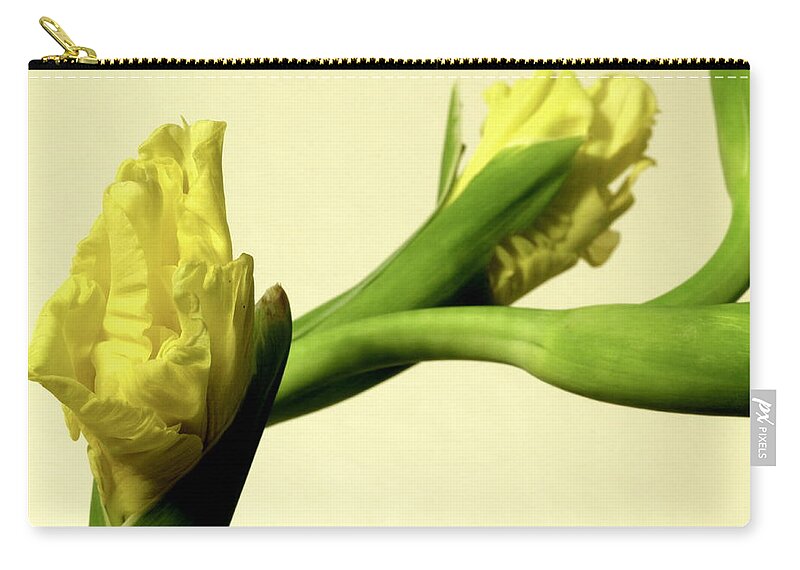  Gladiola Zip Pouch featuring the photograph Intimate Unfurling by Deborah Crew-Johnson