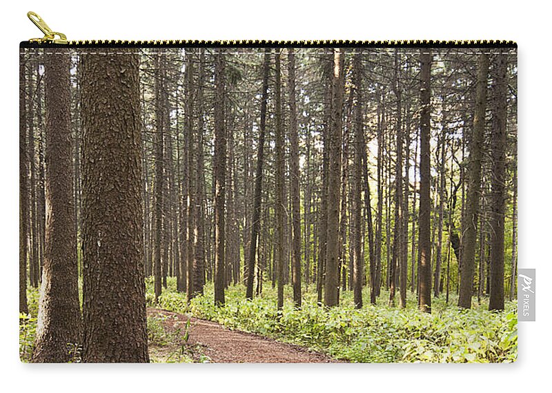 Autumn Trees Zip Pouch featuring the photograph Into the Forest by Patty Colabuono