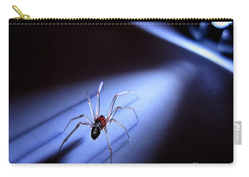 Spider Zip Pouch featuring the photograph Into the Light by Jennie Breeze