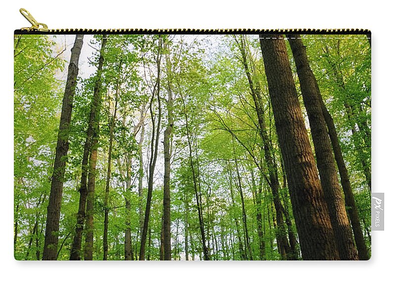 Landscape Zip Pouch featuring the photograph Into the Woods by Debra Fedchin