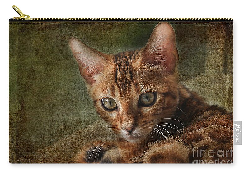 Animal Zip Pouch featuring the photograph Introducing Leo by Teresa Zieba