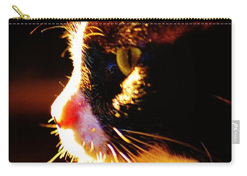 Cat Zip Pouch featuring the photograph Irie Cat by Tamara Michael