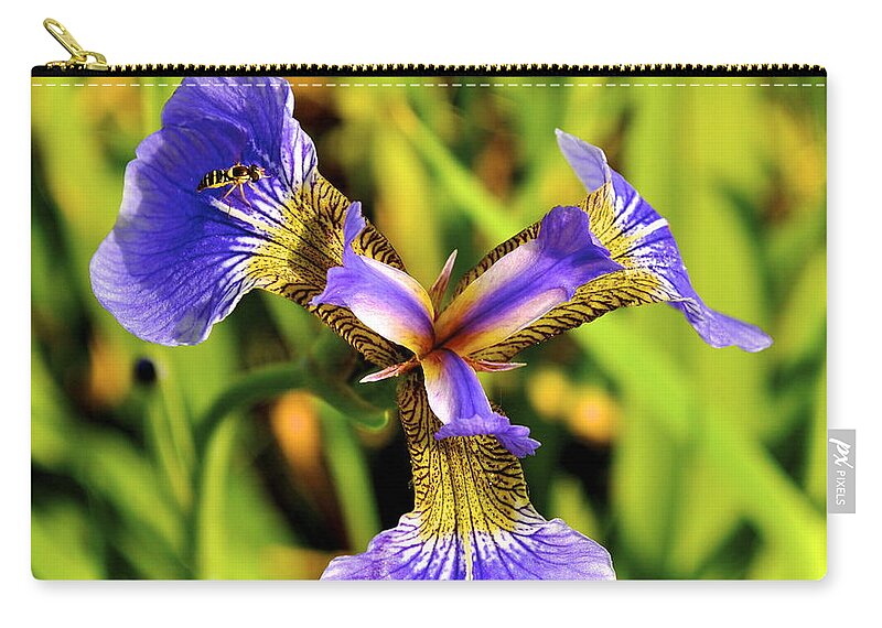Iris Zip Pouch featuring the photograph Iris by Cathy Mahnke