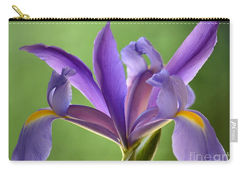 Japanese Iris Zip Pouch featuring the photograph Iris Elegance by Deb Halloran