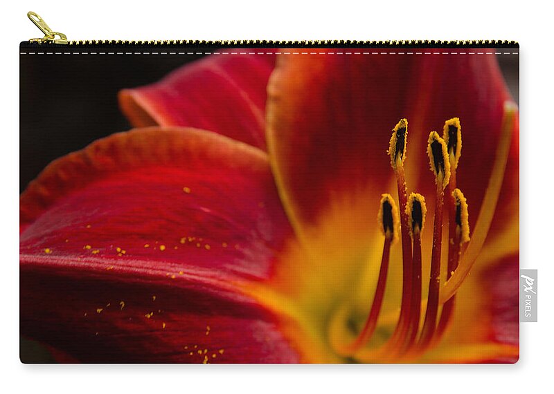 Iris Zip Pouch featuring the photograph Iris Flower Power by Rick Bartrand