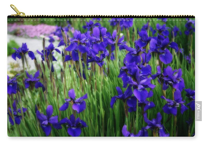 Iris Zip Pouch featuring the photograph Iris In The Field by Kay Novy