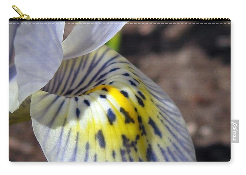 Mccombie Zip Pouch featuring the photograph Iris named Katharine Hodgkin by J McCombie