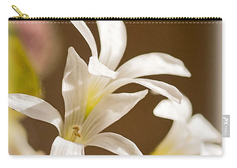 Small Zip Pouch featuring the photograph Irish Blessing by Sandra Clark