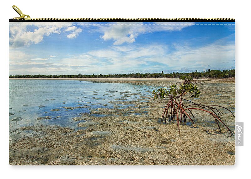 Caribbean Carry-all Pouch featuring the photograph Isolated by Chad Dutson