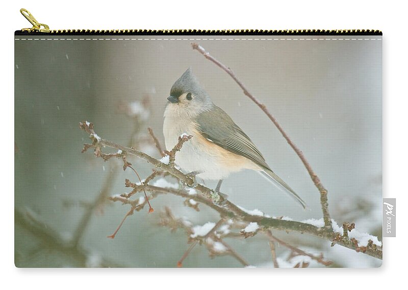Birds Zip Pouch featuring the photograph It May Be Cold But I Still Have My Looks by Kristin Hatt