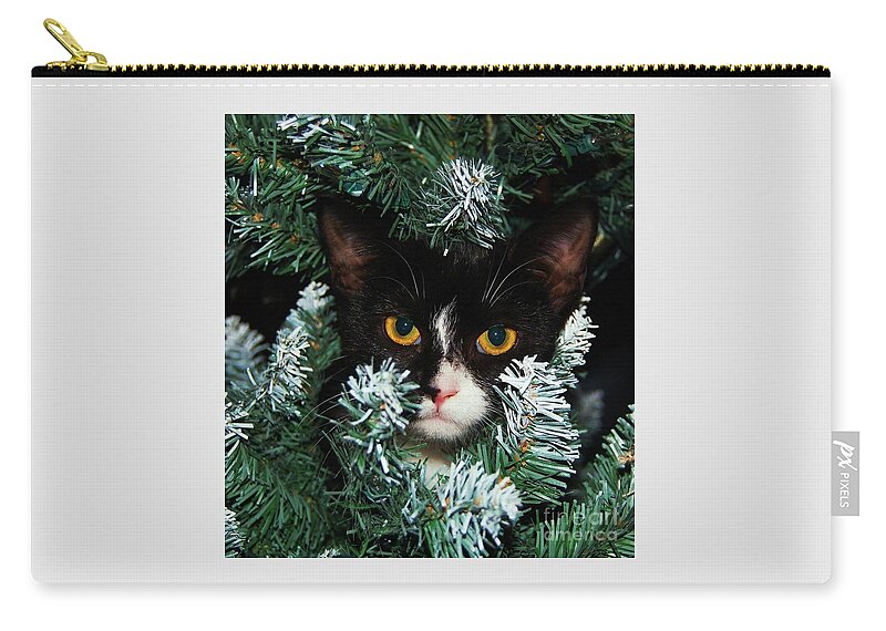 Cute Cat Zip Pouch featuring the photograph J B In The Tree For Christmas by Courtney Dagan