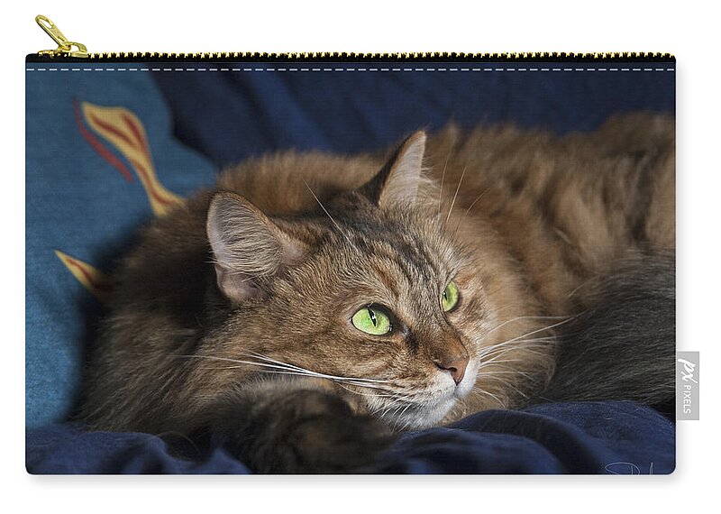 Cat Zip Pouch featuring the photograph Jade eyes in the blue by Raffaella Lunelli