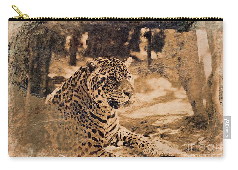Jaguars. Jaguar Zip Pouch featuring the photograph Jaguar in Sepia by Douglas Barnard