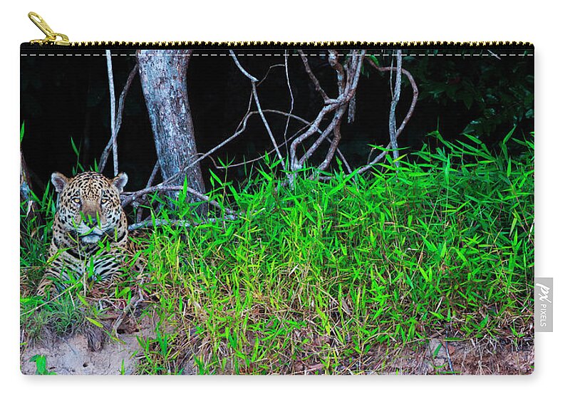 Panoramic Zip Pouch featuring the photograph Jaguar, Panthera Onca, Brazil by Mint Images/ Art Wolfe