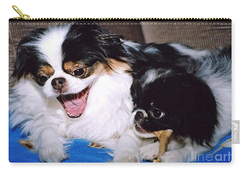 Japanese Chins Zip Pouch featuring the photograph Japanese Chin Dogs Hanging Out and Telling Stories by Jim Fitzpatrick