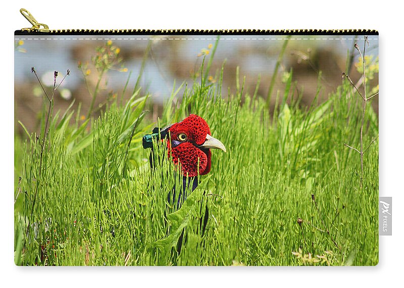 Grass Zip Pouch featuring the photograph Japanese Green Pheasant by Damon Bay