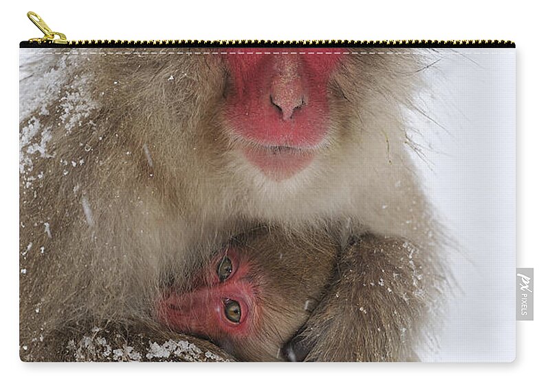 Thomas Marent Zip Pouch featuring the photograph Japanese Macaque Warming Baby by Thomas Marent