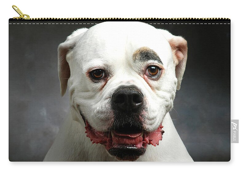Dog Zip Pouch featuring the photograph Jasper by Robert Dann