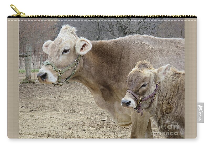 Cow Zip Pouch featuring the photograph Jersey Cow and Calf by Ann Horn