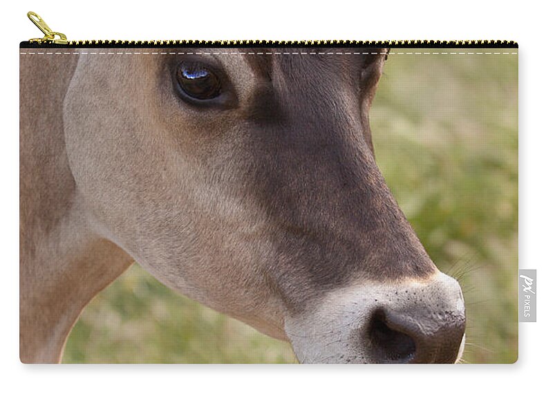 Jersey Zip Pouch featuring the photograph Jersey Cow Portrait by Michelle Wrighton
