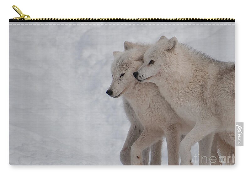 Arctic Wolf Zip Pouch featuring the photograph Joined at the Hip by Bianca Nadeau