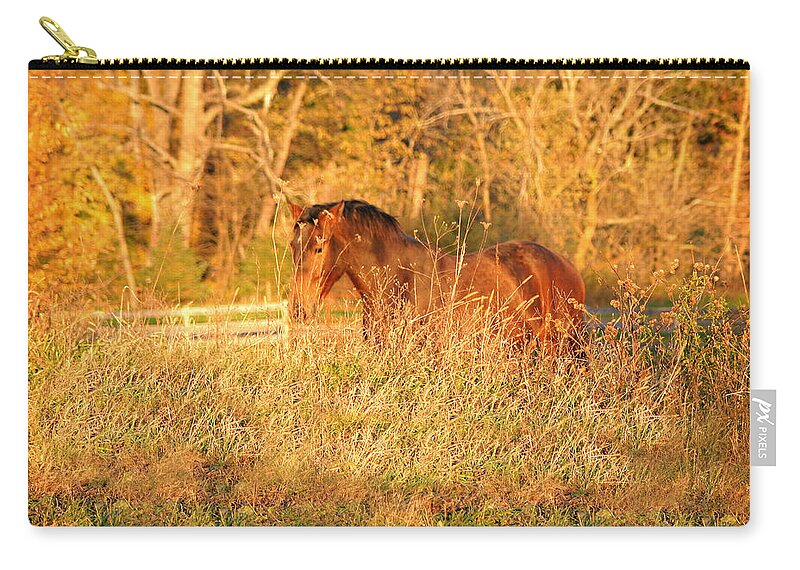 Horse Zip Pouch featuring the photograph Jonathan by Carol Lynn Coronios