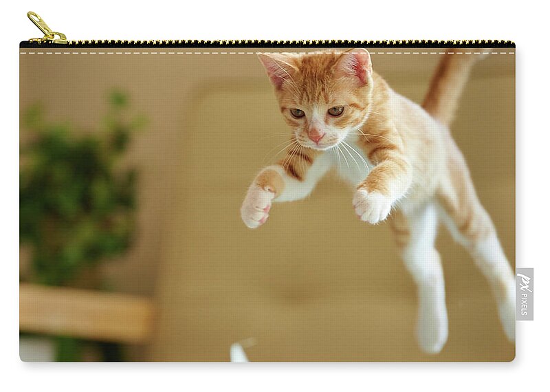 Pets Zip Pouch featuring the photograph Jumping Ginger Kitten by Akimasa Harada