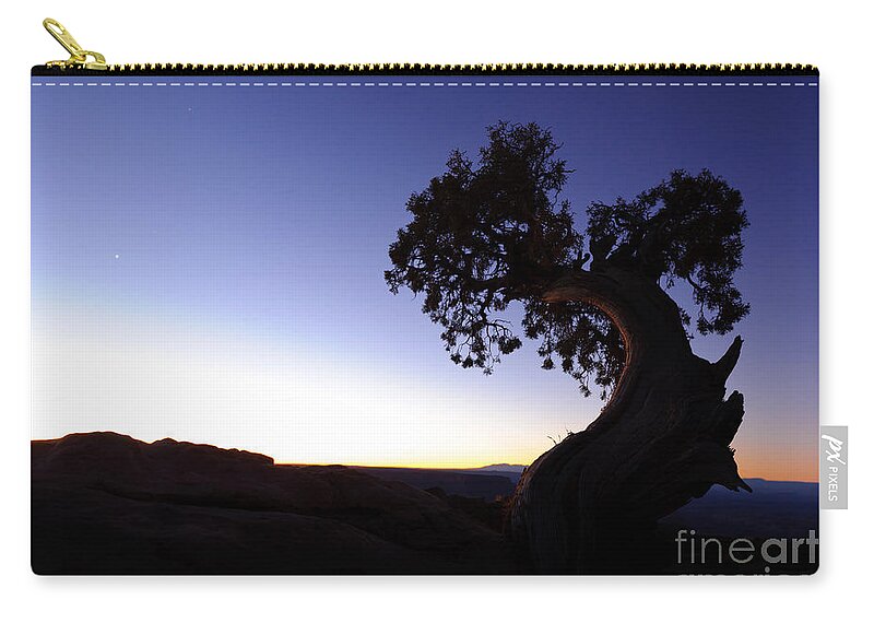 Nature Zip Pouch featuring the photograph Juniper Tree At Dawn by John Shaw
