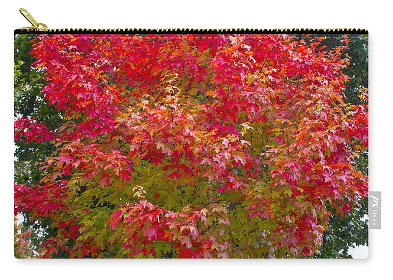 Battlefields Zip Pouch featuring the photograph Just a Bit Flashy by Kathy McClure