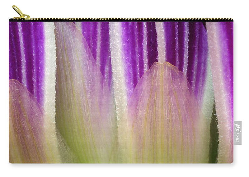 Just A Dahlia 1 Zip Pouch featuring the photograph Just A Dahlia 1 by Wendy Wilton