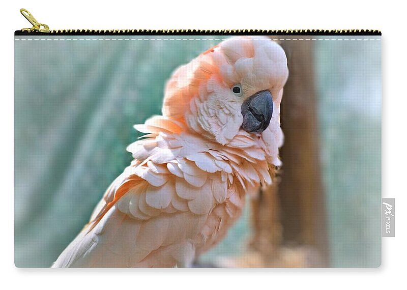 Cockatoo Zip Pouch featuring the photograph Just Call Me Fluffy by Tara Potts