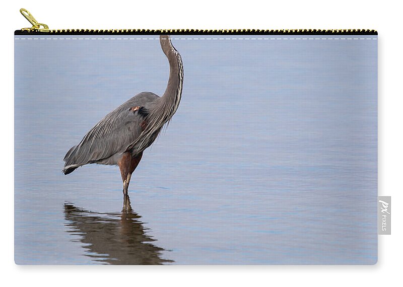 Great Blue Heron Zip Pouch featuring the photograph Just Saying Howdy by John M Bailey